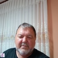 Todor