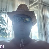 vasil