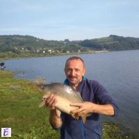 Marek