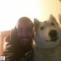 Ivo