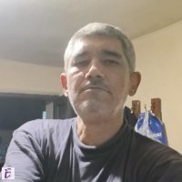 Dalibor