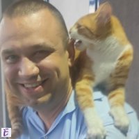 Здравко