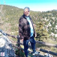 stelios