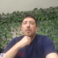 Zoran