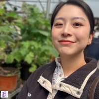 Minjee