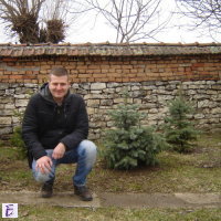 Ivo