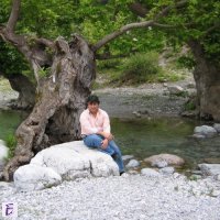 nikos