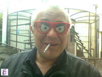 stevo
