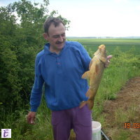 tomek