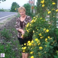 Floarea Maria Suceava