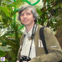 iulian