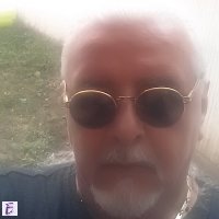 zoki petrovic