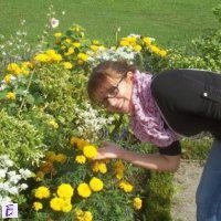 Natasa